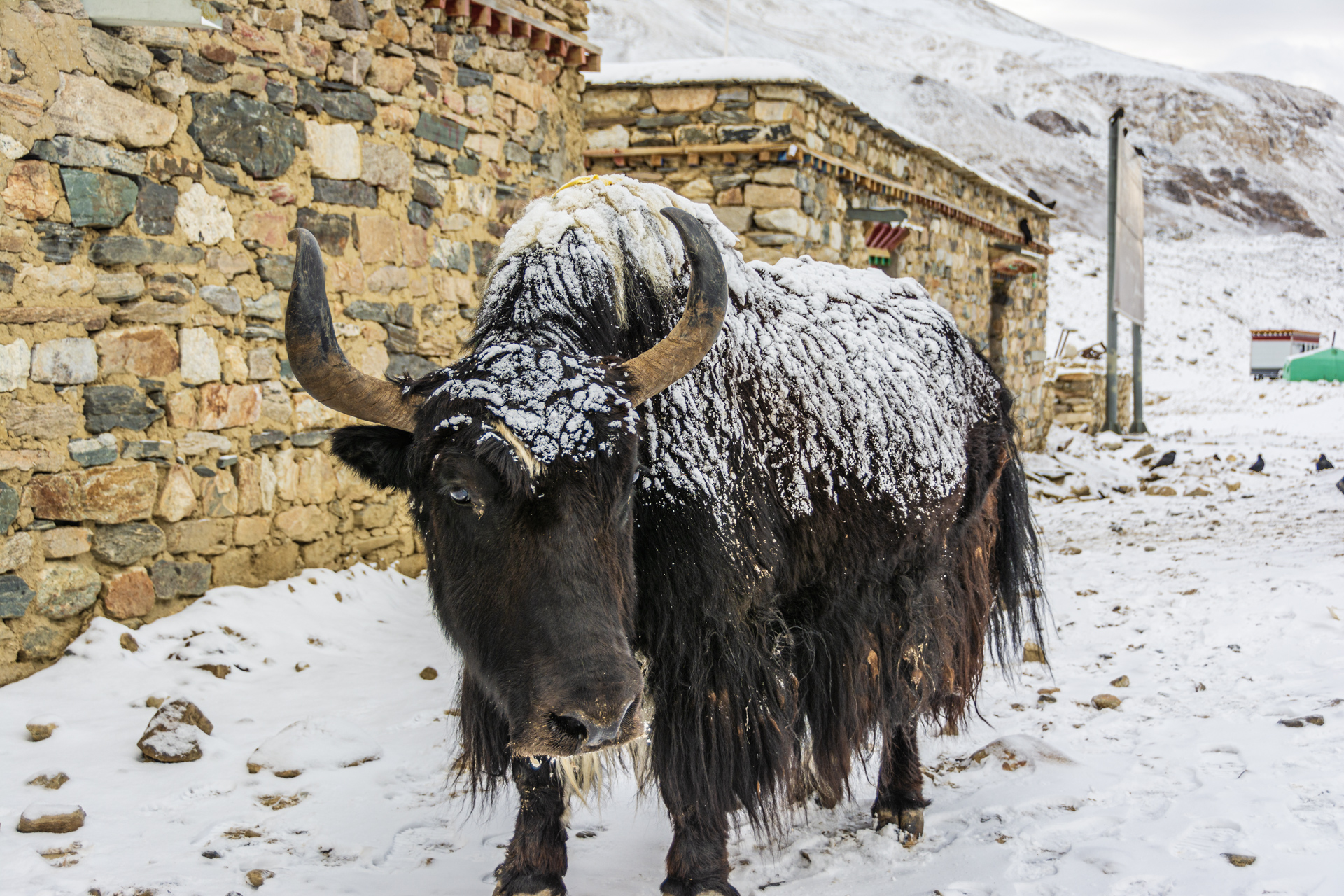 Mount Everest Base Camp